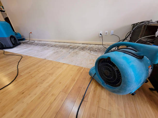 Professional Burst Pipe Water Damage technician working in White Rock, SC